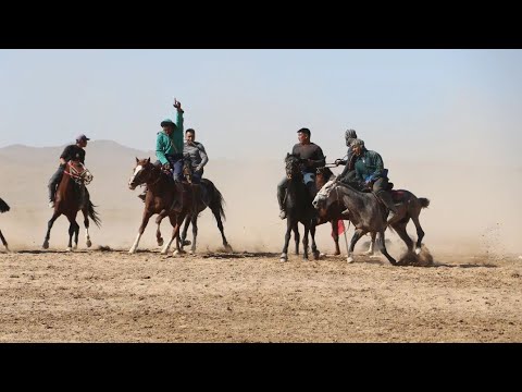 Видео: Уштобе ауылында көкпар той толык нуска 01 10 2022ж