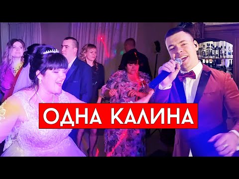 Видео: София Ротару - Одна калина (cover Виталий Лобач)