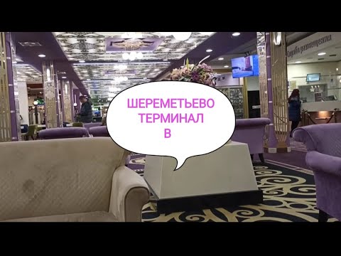 Видео: Отзыв об отдыхе  Москва-Питер гостиница Дельта
