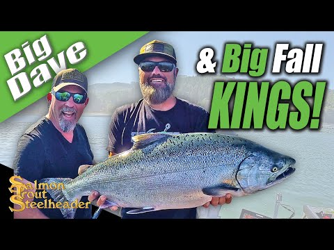 Видео: Big Dave и Big Fall KINGS!