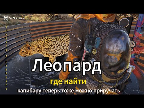 Видео: Once Human леопарда и капибару теперь можно приручить #oncehuman