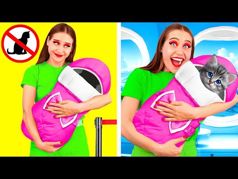 Видео: Как Пронести Домашних Животных в Самолёт | Сумасшедший Челлендж от Fun Fun Challenge