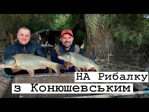 Видео: ТАКОГО Я ЩЕ НЕ БАЧИВ! 4 крупних РИБИ за 15 хвилин. НА Дикарі, ловимо САЗАНІВ разом з Конюшевським.