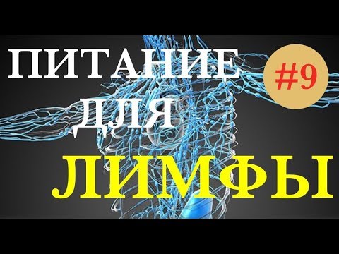 Видео: Питание для здоровья ЛИМФАТИЧЕСКОЙ СИСТЕМЫ