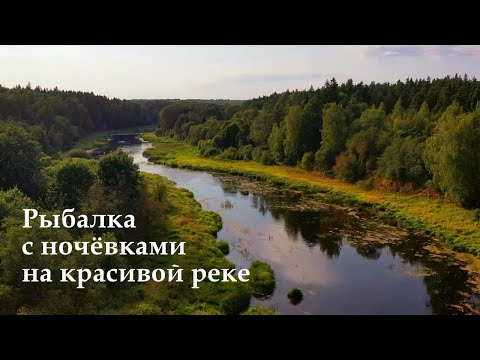 Видео: Рыбалка с ночёвками. Уха на костре. Подводная съёмка.