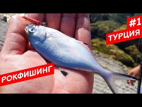 Видео: Что за рыба-то?! Рокфишинг - первые пробы!  Турция #1