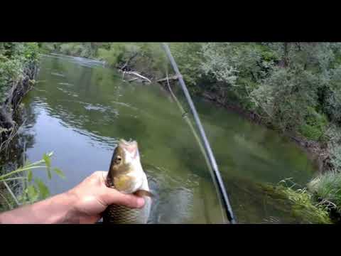 Видео: цял ден с ЕДИН воблер на р Велека #strikepro #кефал #велека #ultralight #spining #vobler #cranky40