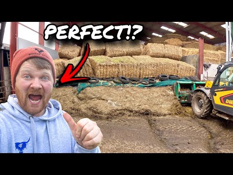 Видео: ИДЕАЛЬНЫЙ ФЕРМЕР... ЛУЧШЕЕ, ЧТО МЫ КОГДА-ЛИБО СДЕЛАЛИ!