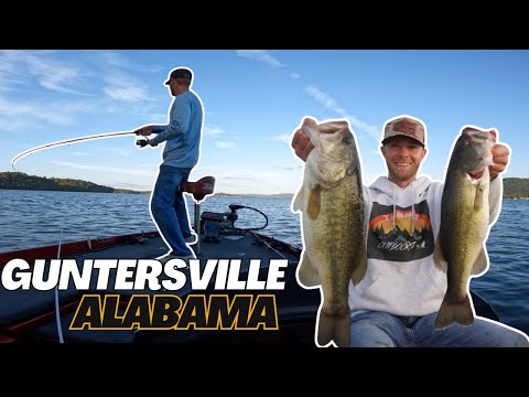 Видео: Ловля окуня на озере Гантерсвилл, 8 октября 2025 г.