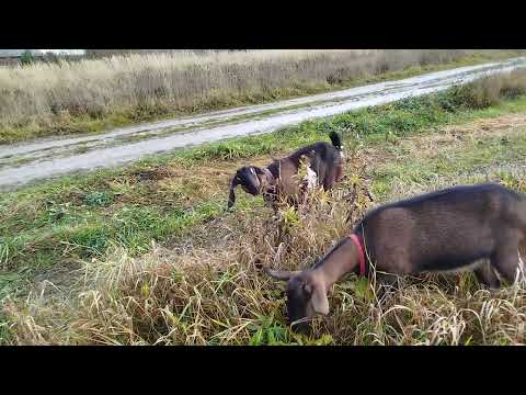 Видео: Красивый закат