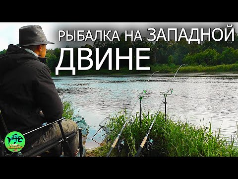 Видео: РЕКА на которой стоит побывать.. Рыбалка на ФИДЕР. Ловля ЛЕЩА.