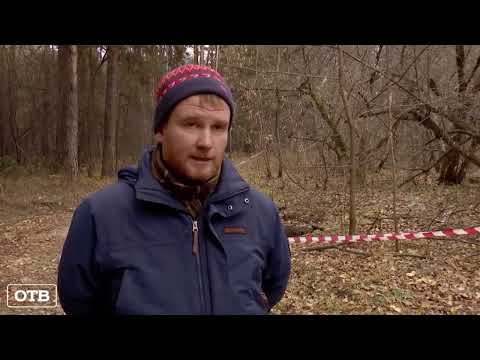 Видео: Рядом с трассой найдены массовые захоронения с 49 могилами