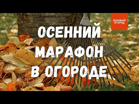 Видео: Готовим грядки осенью | Подготовка огорода к зиме | Как подготовить грядки осенью | Грядка под зиму