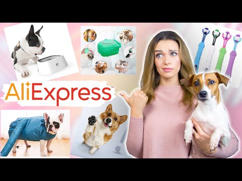 Видео: Оригинальные товары для питомцев с AliExpress | ЧЕГО ТОЛЬКО НЕ ПРИДУМАЮТ КИТАЙЦЫ!!