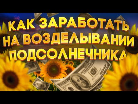 Видео: Технология  выращивания  подсолнечника  в  АО "Колос" часть II