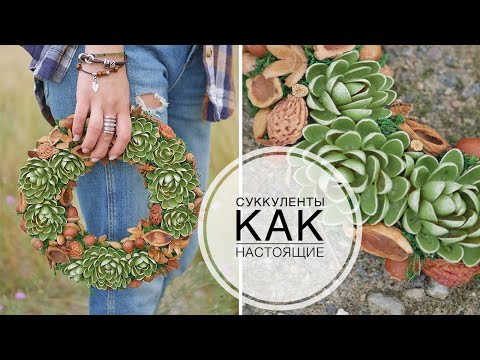 Видео: Succulents are alive / Суккуленты как живые / Декор на стол и дверь  / DIY TSVORIC