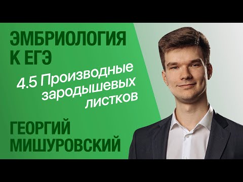 Видео: 4.5. Производные зародышевых листков | Цитология к ЕГЭ | Георгий Мишуровский