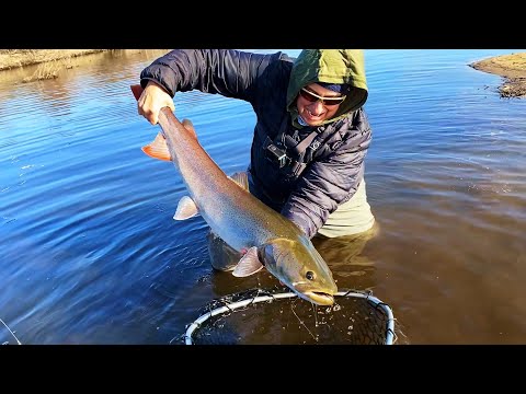 Видео: Семь дней нахлыстовой рыбалки на тайменя в Монголии (часть 1)