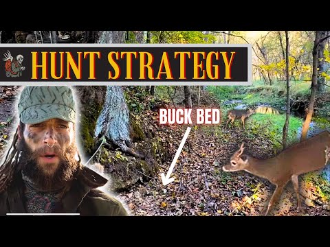 Видео: DBBH VLOG EP. 5 — СУЖЕНИЕ ПОИСКА / ТАКТИКА И РАССТАНОВКИ, НЕДЕЛЯ 2