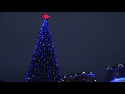 Видео: Волшебство огней. В Пинске на главной площади зажгли новогоднюю ёлку