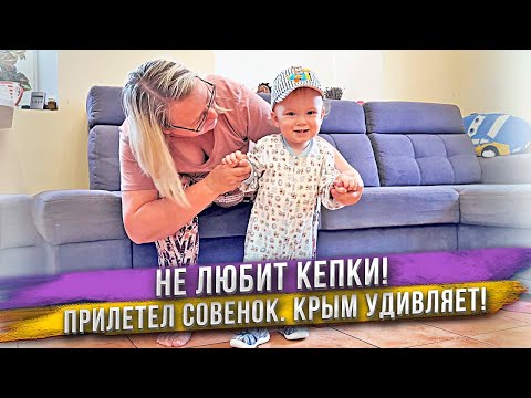Видео: Ребенку категорически не нравятся головные уборы! К нам прилетел совенок. Наша первая черешня.