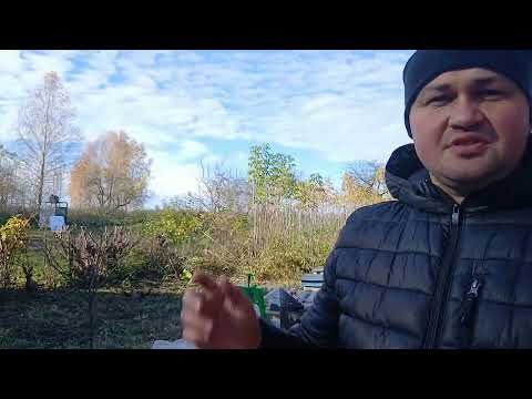 Видео: 🔴Осенняя прогулка на вторую пасеку