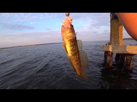 Видео: Тилігульський лиман, ловим бичка зеленчака.