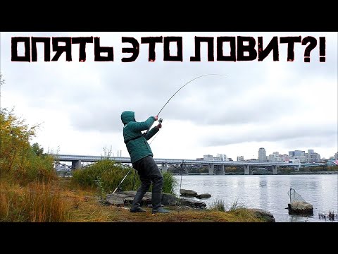 Видео: ДА ЧТО ТУТ СЛУЧИЛОСЬ!? Вода пришла и НАЧАЛОСЬ! Не думал, что рыбалка будет ТАКОЙ ТРУДОВОЙ!