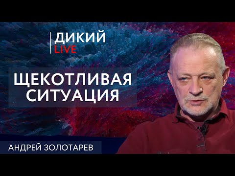 Видео: Облизывая сапоги хозяина… Aндрей Золотaрев. Дикий LIVE.