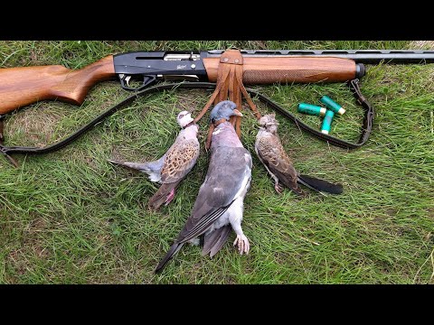 Видео: Лов на Гургулица и Гривяк (откриване) HD
