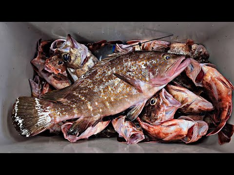 Видео: Клиент поймал рыбу и подошел ко мне.  вкусная рыба.  морская рыбалка.