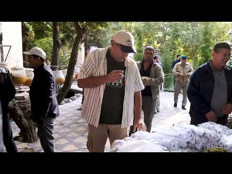 Видео: Самарқанд бедана сайли 2024