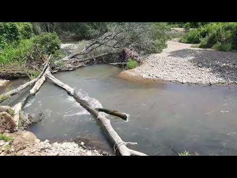 Видео: За хариусом на две реки и ручей на денёк!!!