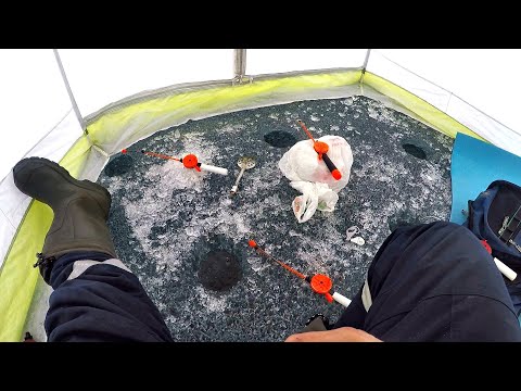 Видео: Ловля сига на оз. Имандра.Ч 2