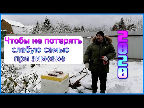 Видео: ❄ Чтобы не потерять слабую семью пчёл при зимовке ❄