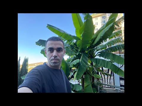 Видео: СОЧИ! ПОГОДКА🔥🔥 ПОШЛИ НА МОРЕ🌊