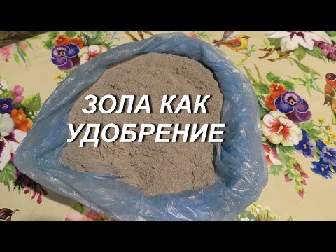 Видео: ЗОЛА КАК УДОБРЕНИЕ ДЛЯ РАССАДЫ