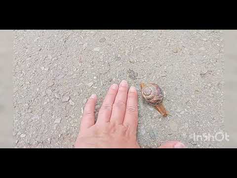 Видео: 🌞😁переезд на юг 🌴🌻Прогулка по станице Староминская:))