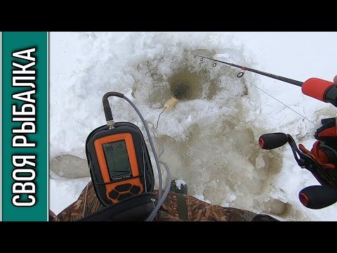 Видео: Рыбалка на хищника в глухозимье. Иваньковское водохранилище