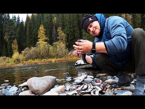 Видео: У меня всё забито РЫБОЙ, КЛЮЁТ один за одним!  +18| Осенняя рыбалка| Супер клёв| Быт| 4к