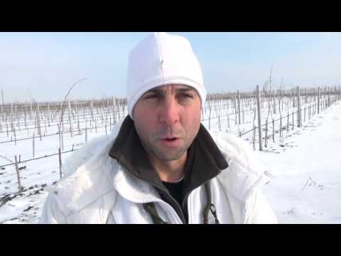 Видео: Goose Hunting in Pomorie, Bulgaria episode. 2 - ЛОВ НА ГЪСКИ В ПОМОРИЕ ЕПИЗОД 2 - ЛОВЕН КЛУБ