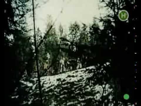 Видео: Диво калинове (1992р)