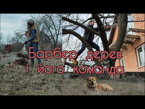 Видео: Акробатичні трюки з бензопилою || Робимо все, на що око глянуло