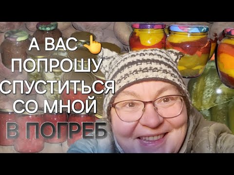 Видео: Что запасла на зиму/Это много или мало/Помидоры портятся🍅/ОДНА В ДЕРЕВНЕ👱🏼‍♀️