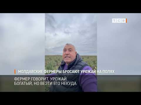Видео: Молдавские фермеры бросают урожай на полях