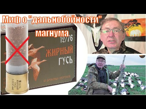 Видео: Современный миф о «дальнобойности» магнума! Разоблачение мифов об оружии, охоте и стрельбе!
