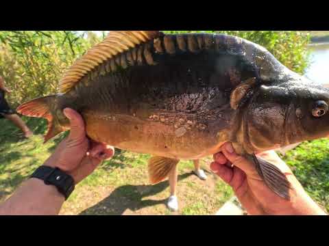 Видео: 🔥Азарт, риба і фарт 🤟 Турнір у Ялиновці🔥
