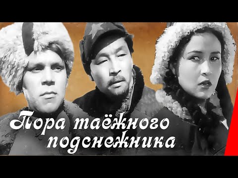 Видео: Пора таежного подснежника (1958) фильм