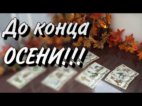 Видео: 🍁До конца осени ВАС ЖДЕТ Нечто важное💫☄️