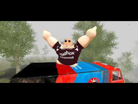 Видео: 3 августа 2025 г.
